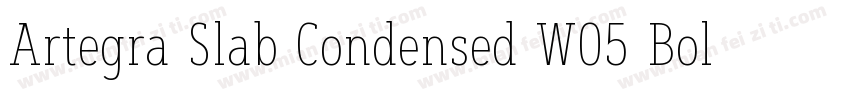 Artegra Slab Condensed W05 Bold字体转换